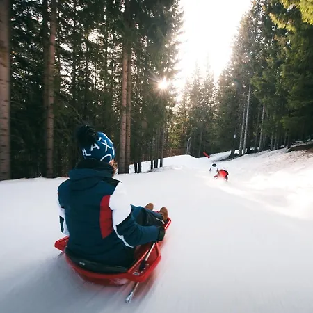 Confortable 2 Pieces, Skis Aux Pieds, Animaux Bienvenus - Fr-1-182a-43 شقة