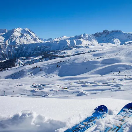 Confortable 2 Pieces, Skis Aux Pieds, Animaux Bienvenus - Fr-1-182a-43 Apartamento *