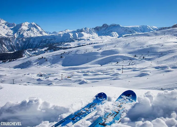 Confortable 2 Pieces, Skis Aux Pieds, Animaux Bienvenus - Fr-1-182a-43 * 谷雪维尔