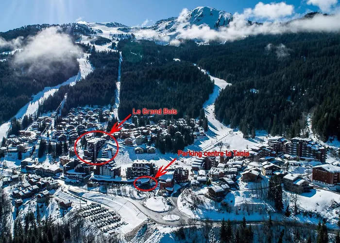 公寓 Confortable 2 Pieces, Skis Aux Pieds, Animaux Bienvenus - Fr-1-182a-43 *