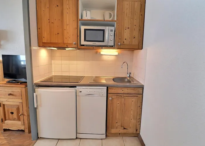 شقة Confortable 2 Pieces, Skis Aux Pieds, Animaux Bienvenus - Fr-1-182a-43