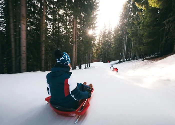 Confortable 2 Pieces, Skis Aux Pieds, Animaux Bienvenus - Fr-1-182a-43 * كورشوفيل