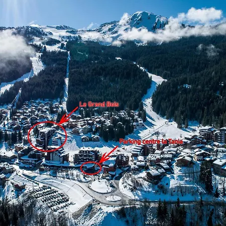 Confortable 2 Pieces, Skis Aux Pieds, Animaux Bienvenus - Fr-1-182a-43 *